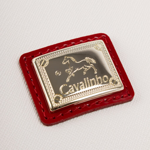 cavalinho-logo-twist-azul