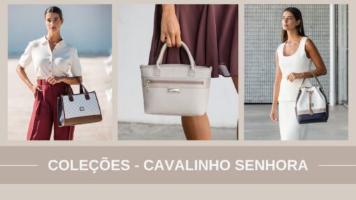 coleções cavalinho
