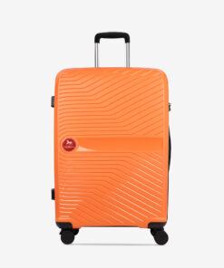 Trolley Cavalinho Médio Colorful.