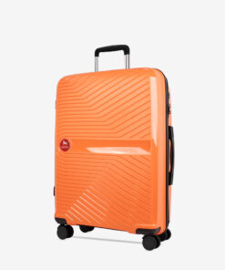 Trolley Cavalinho Médio Colorful.