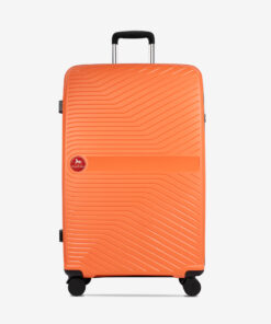 Trolley Cavalinho Grande Colorful