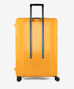 Trolley Cavalinho Grande Atlas