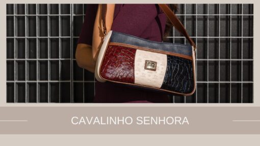 cavalinho senhora cat
